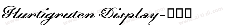 Hurtigruten Display字体转换